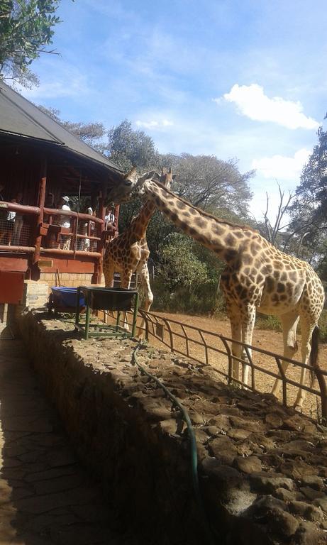 Kepro Farm Apartman Nairobi Kültér fotó