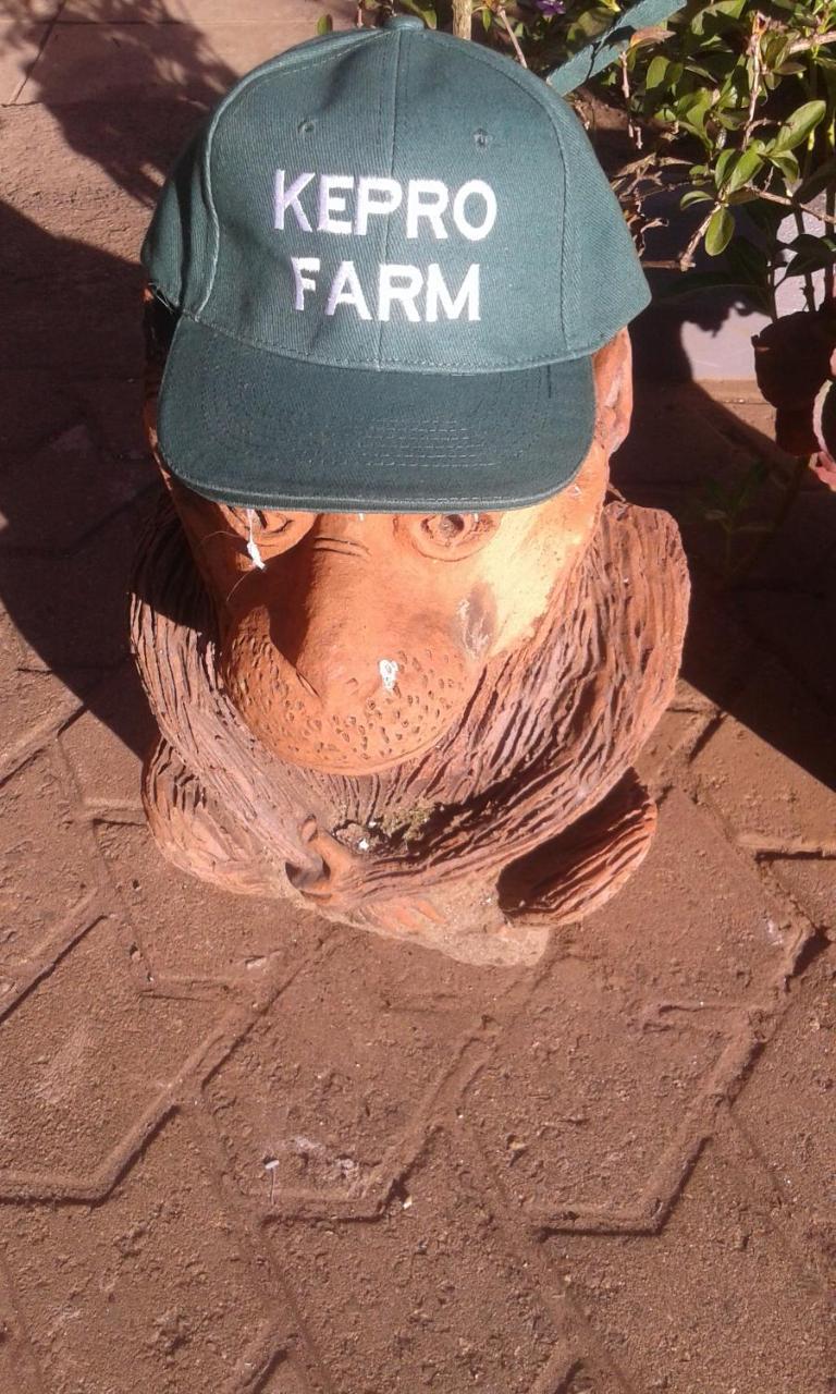 Kepro Farm Apartman Nairobi Kültér fotó